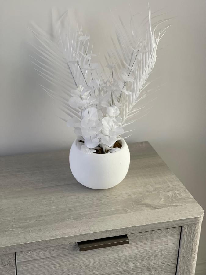 Edith Haven Tynemouth Fabulous Coastal Holiday Home With Free Onstreet Parking Zewnętrze zdjęcie